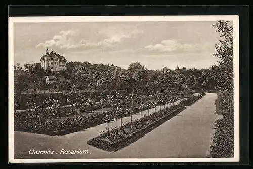 AK Chemnitz, Rosarium