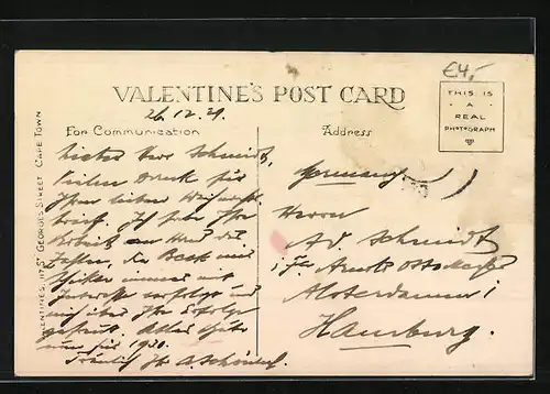 AK Johannesburg, Town Gardens, Strassenbahn