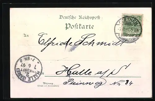 Lithographie Cöthen i. Anhalt, Polytechnikum, Schloss, Landes-Seminar