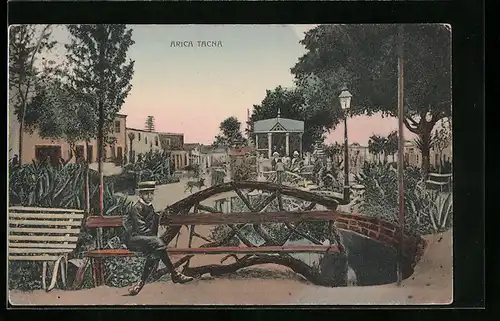 AK Arica Tacna, Panorama