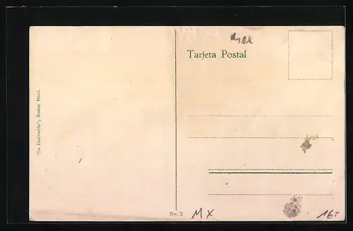 AK Tampico, Calle del Cuartel, Motiv aus der Strasse