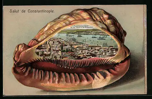 AK Constantinople, Vue panoramique