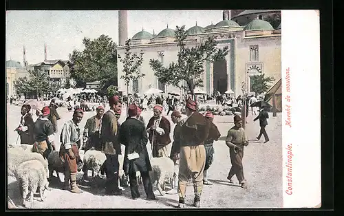 AK Constantinople, Marché de moutons