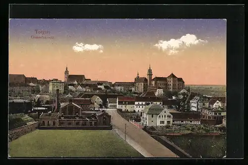 AK Torgau, Gesamtansicht aus der Vogelschau