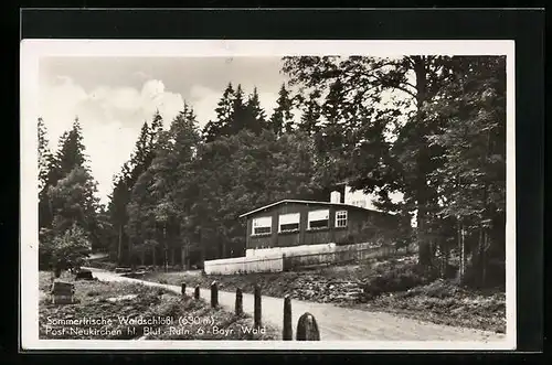 AK Neukirchen hl. Blut, Blick auf Sommerfrische Waldschlössl