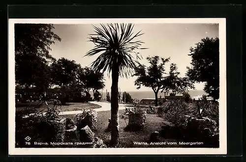AK Warna, Ansicht vom Meergarten