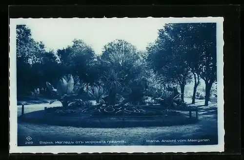 AK Warna, Ansicht vom Meergarten