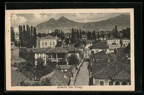 AK Prilep, Panorama