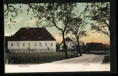 AK Dommitzsch, Försterei Plants-Haus