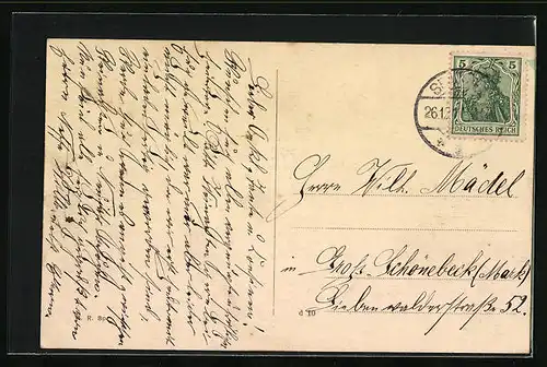 AK Berlin-Spandau, Strassenpartie mit Plantage