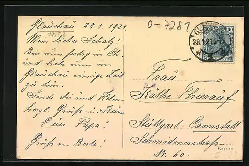 AK Glauchau, Plantagenstrasse aus der Vogelschau