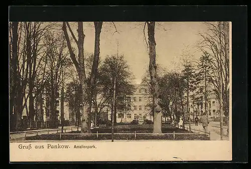 AK Berlin-Pankow, Ansicht vom Amalienpark