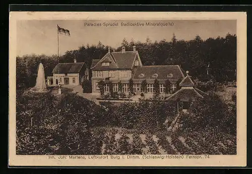 AK Burg in Dithm., Kurhotel Paradies-Sprudel Joh. Martens mit Springbrunnen aus der Vogelschau