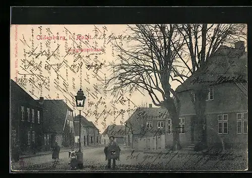 AK Oldenburg i. Holst., Wohnhäuser in der Burgthorstrasse