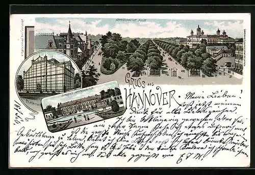 Lithographie Hannover, Herrenhauser-Allee, Palmenhaus