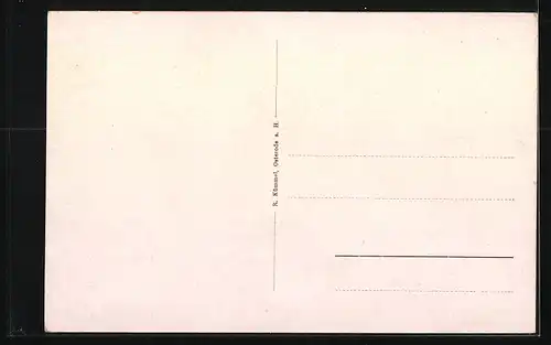 AK Lonau im Harz, Totalansicht aus der Vogelschau