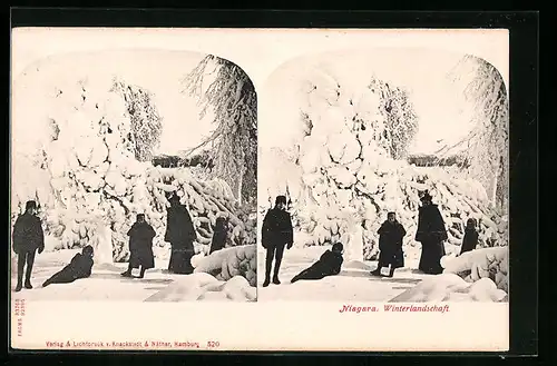 Stereo-AK Niagara, Winterlandschaft