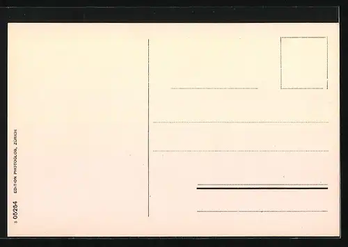 AK Stein a. Rh., Totalansicht von der Burg Hohenklingen