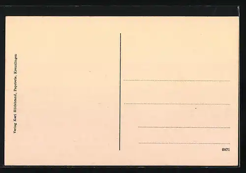 AK Kreuzlingen, Panorama aus der Vogelschau