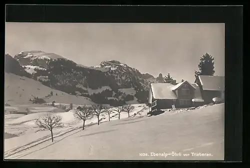 AK Ebenalp-Öhrli, Ansicht von Trieberen aus