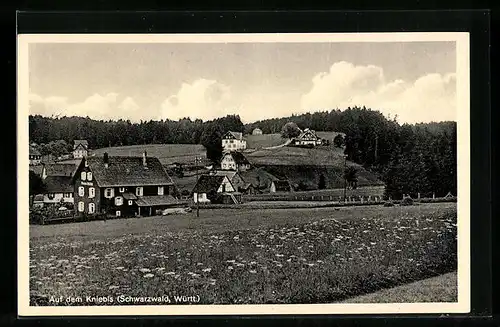 AK Kniebis i. Scwarzwald, Blick über die Wiese zum Ort