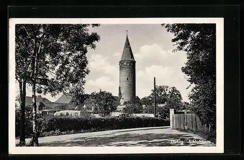 AK Zörbig, Schlossturm