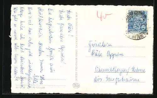 AK Bitterfeld, Partie in den Anlagen