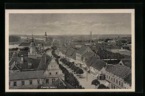 AK Coswig (Anhalt), Ortsansicht aus der Vogelschau