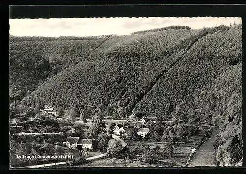 AK Dedenborn / Eifel, Gesamtansicht