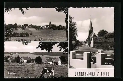 AK Lammersdorf / Eifel, Siedlung, Kirche, Gesamtansicht