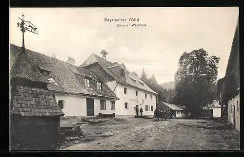 AK Zwiesel /bayr. Wald, Zwiesler Waldhaus