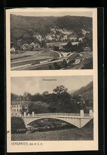 AK Tiergarten, Ortsansicht und Donaubrücke