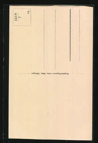 AK Tiergarten, Ortsansicht und Donaubrücke