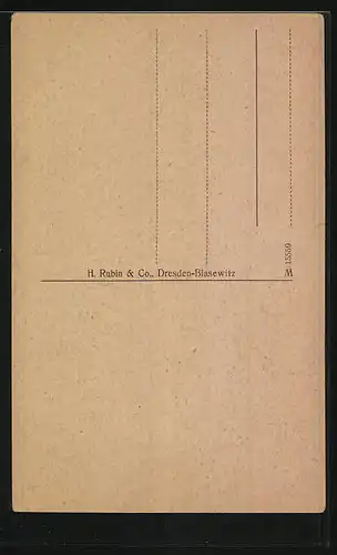AK Esslingen, Blick auf Frauen-, Stadt- und Kath. Kirche