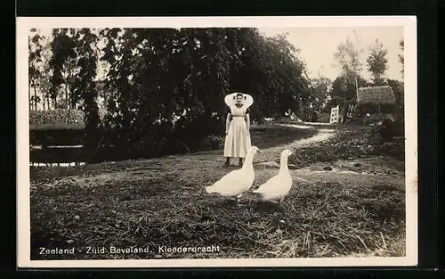 AK Zeeland, Zuid Beveland, Frau in niederländischer Tracht bei ihren Gänsn