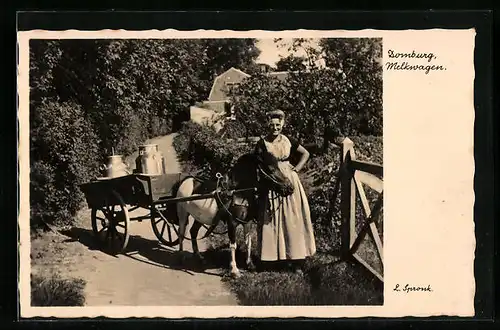 AK Domburg, Frau in niederländischer Tracht mit ihrem Melkwagen