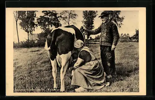 AK Walcheren, Frau in niederländischer Tracht melkt eine Kuh