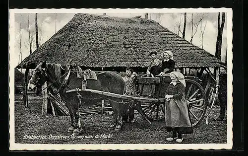 AK Brabantsch-Dorpsleven, Op weg naar de Markt, niederländische Bauern mit Pferdewagen