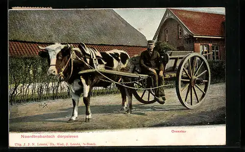 AK Noordbrabantsch dorpsleven, Ossenkar, niederländischer Bauer auf seinem ochsenkarren