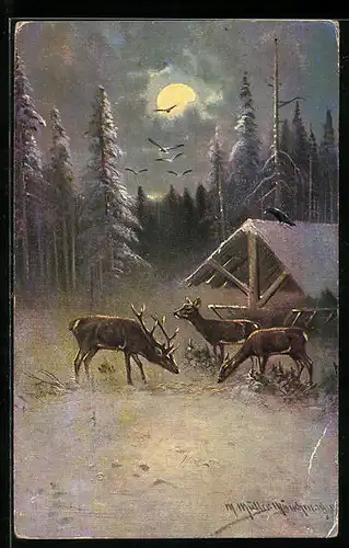 Künstler-AK M. Müller jun.: Rehe an einer Futterkrippe