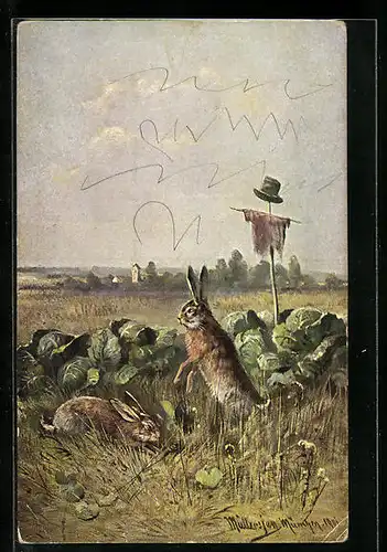 Künstler-AK M. Müller jun.: Zwei Hasen an Kohlköpfen
