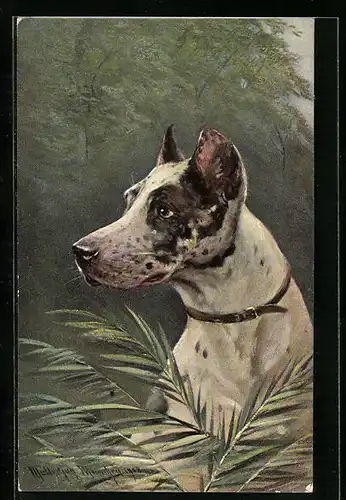 Künstler-AK M. Müller jun.: Jagdhund wittert Beute