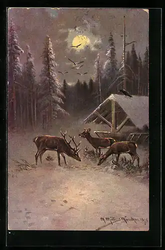 Künstler-AK M. Müller jun.: Rehe an einer Krippe im Wald