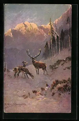 Künstler-AK M. Müller jun.: Rehe auf einer Lichtung