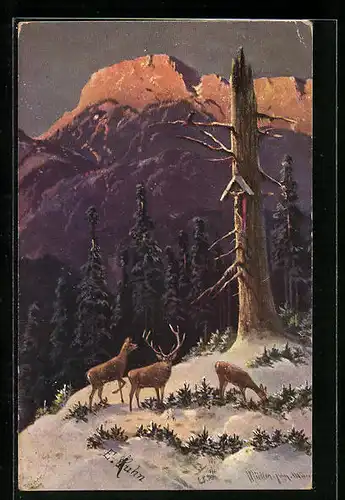 Künstler-AK M. Müller jun.: Rehe auf einer Lichtung im winterlichen Wald
