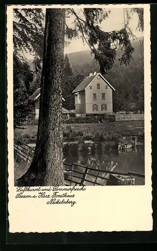 AK Leesen a. Harz, Gasthaus Forsthaus Neckelnberg