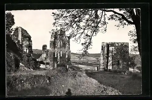 AK Bourscheid, les Ruines