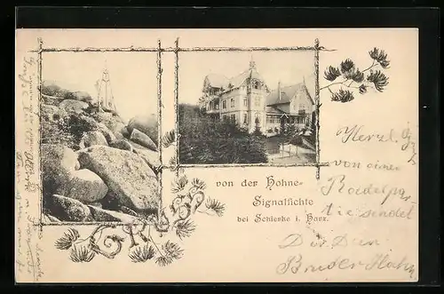 AK Schierke i. Harz, Gasthaus Hohne-Signalfichte