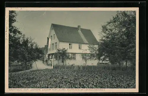 AK Heppenheim, Gasthaus zur Juhöhe, Adam Höfle, Bergstrasse