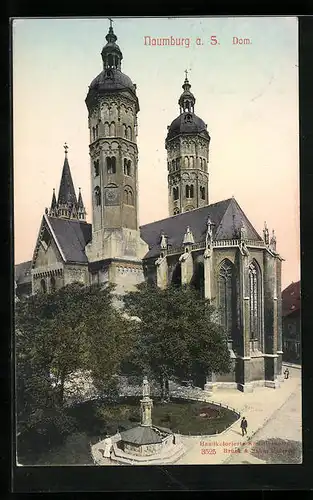 AK Naumburg a. S., Dom